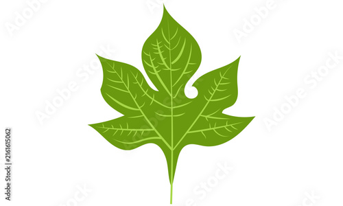 Принти на полотні Stylized palmate green leaf shape flat vector icon
