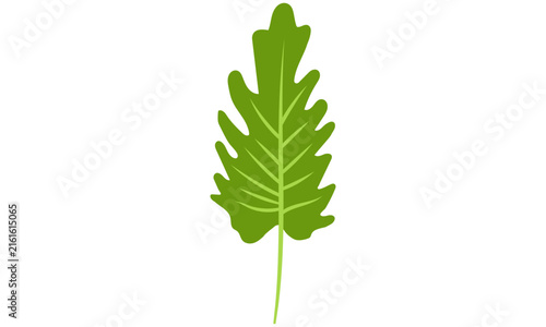 Sharp toothed green leaf flat design illustration