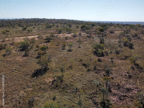 Fotografie Cerrado Brazilian savanna landscape in Minas Gerais, Brazil, with native grassland vegetation and scattered shrubs viewed from above