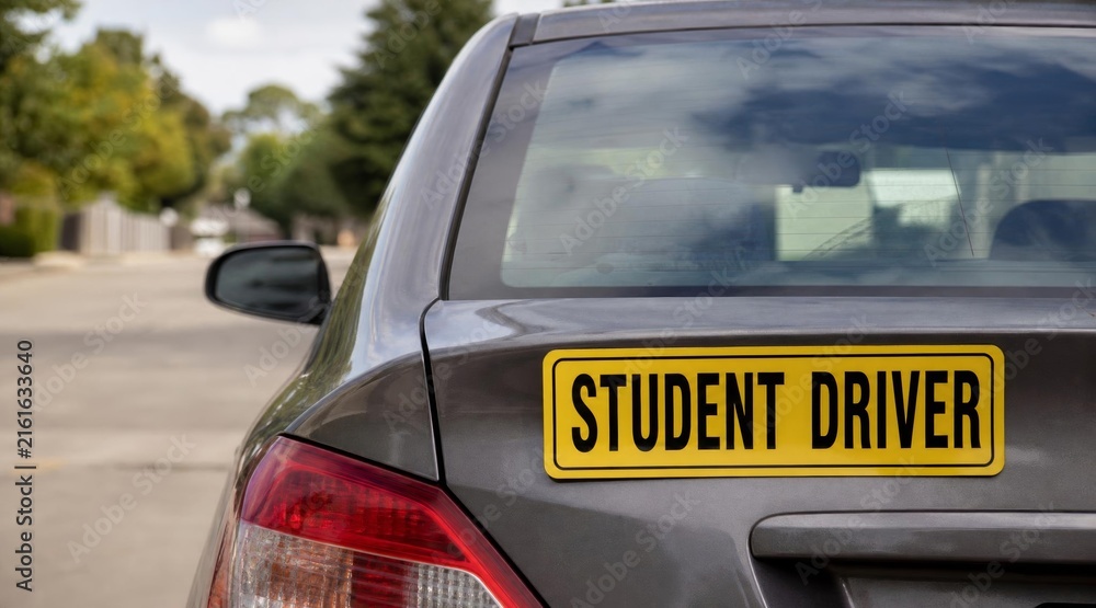 Fototapeta premium Student driver sign on the back of a grey car.