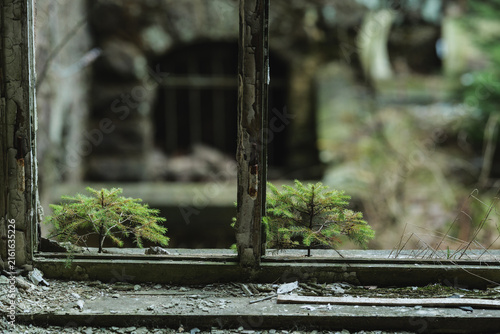 Abandoned Johanniter Sanatorium in Sorge, Harz Mountains, Germany