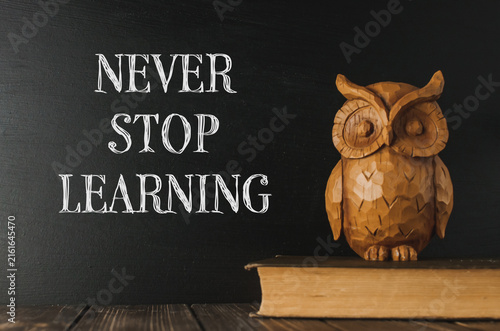 Wooden Owl on Book with Motivational Quote