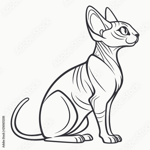 Line of a hairless sphynx cat sitting, isolated on a plain white background, feline animal