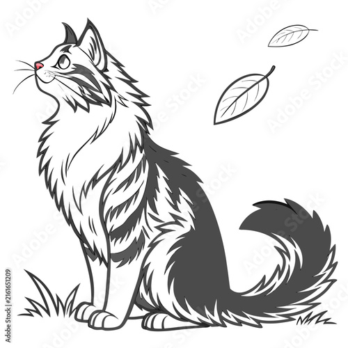Line of a fluffy cat sitting with falling leaves, isolated on a plain white background, feline animal