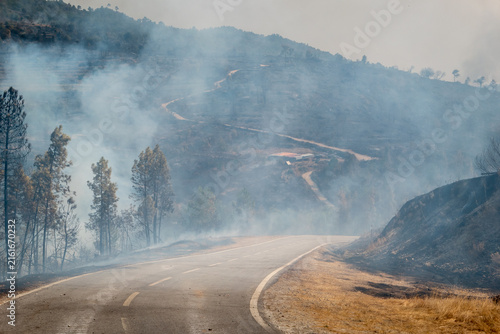 Foto Cenário devastador com uma estrada sinuosa coberta por fumo espesso de um incênd