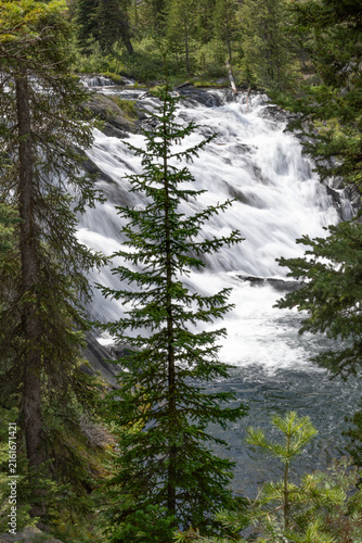 Tree Silhouette and Waterfall