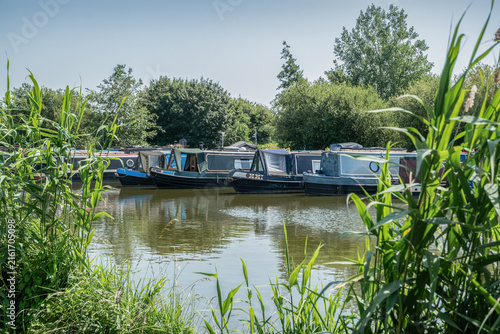 Narrowboats moored across a calm reed lined English waterway surrounded by lush summer vegetation.