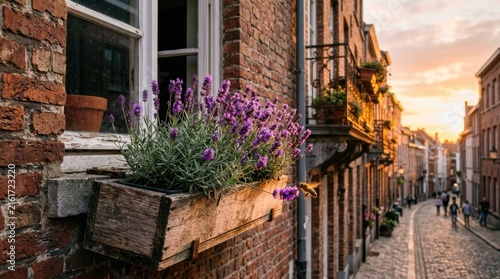 Vibrant purple lavender flowers in a rustic wooden window box adorn an old brick building facade during a beautiful golden hour sunset.