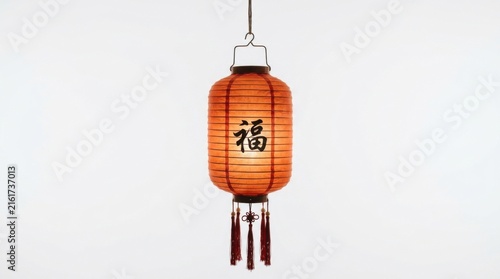 Chinese New Year Red Silk Lantern with Calligraphy Fu Character and Tassels