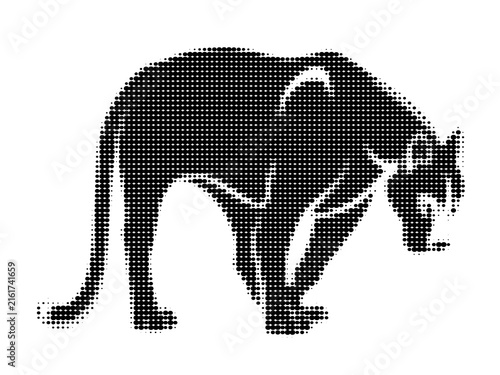 Canvas Print Crouching panther silhouette in halftone style
