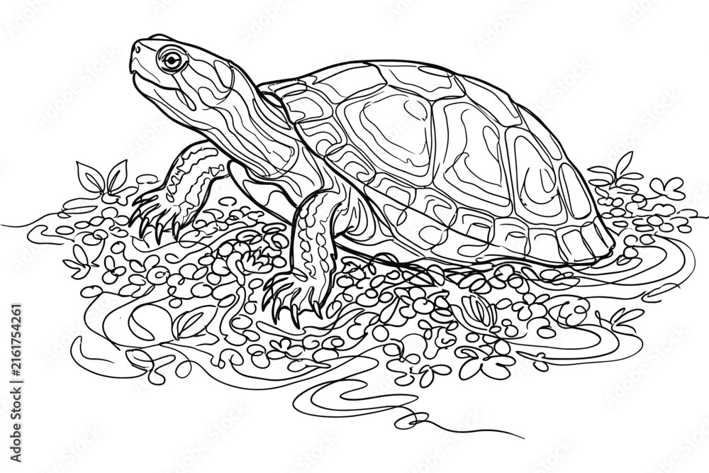 Fototapeta premium A detailed black and white line art illustration of a turtle standing on a textured ground.