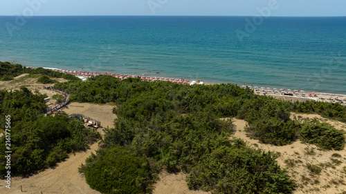 Принти на полотні Aerial drone view of Mediterranean coastal dunes, green scrubland and sandy beach with turquoise sea in Italy, summer nature and travel landscape background