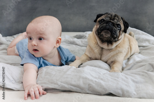 5 month baby boy and pug dog peacefully resting together. Pet and infant lying side by side naturally in harmony with joyful peaceful atmosphere. The concept of relationships between baby and pet dog