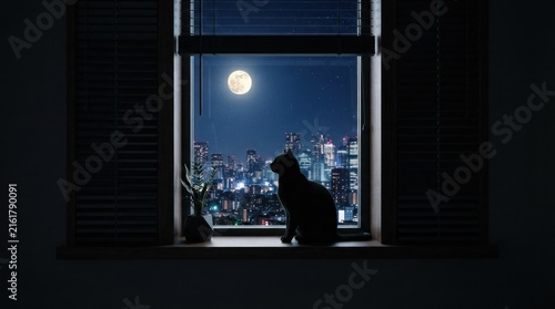 Cat silhouette observing bright full moon and city lights.