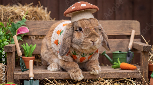 Whimsical Bunny Gardener: A charming lop-eared bunny dressed in a whimsical mushroom hat and a carrot-patterned apron sits on a wooden garden bench, surrounded by gardening tools and hay.