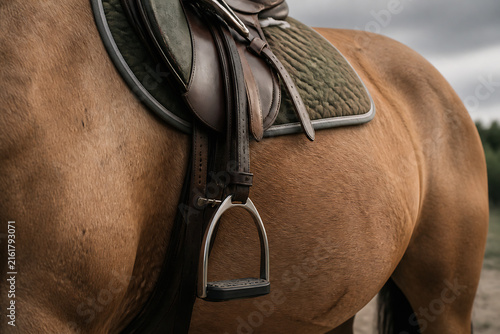 A close-up of a brown horse with a saddle on its back in an outdoor, possibly dusty setting.