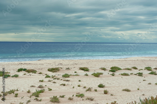Photography Wide coastal landscape showing windswept dunes, open ocean and an expansive clou
