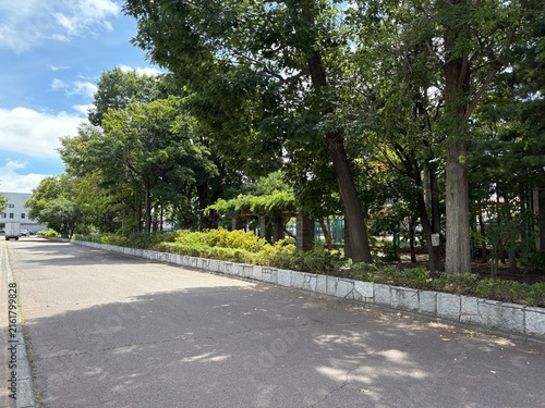 札幌の豊平区の景色