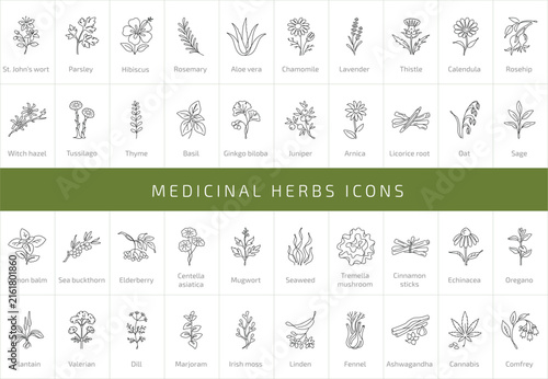 Medicinal Herbs and Plants Line Icons Set - Natural Remedies and Botanical Ingredients