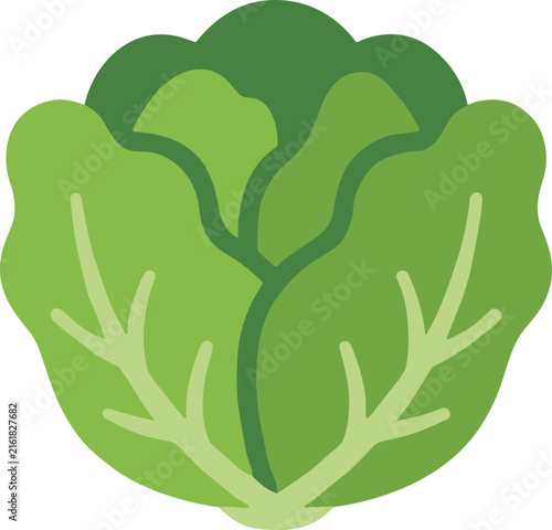 Green Lettuce Head Isolated Transparent Background