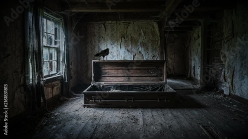 Raven perched on an open wooden casket