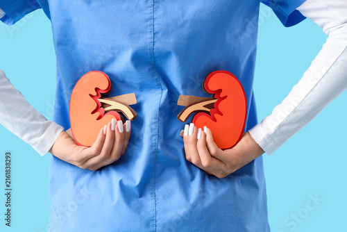 Female doctor with paper kidneys on blue background, back view