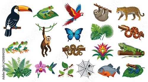 Jungle Wildlife and Tropical Flora Flat Vector Illustration Collection