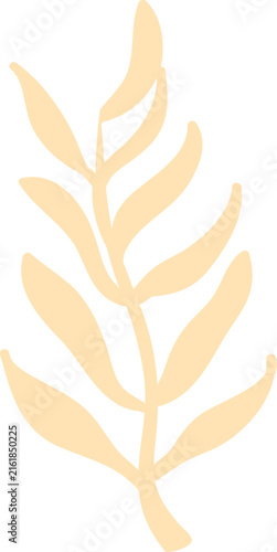 Leaf Branch Silhouette Botanical