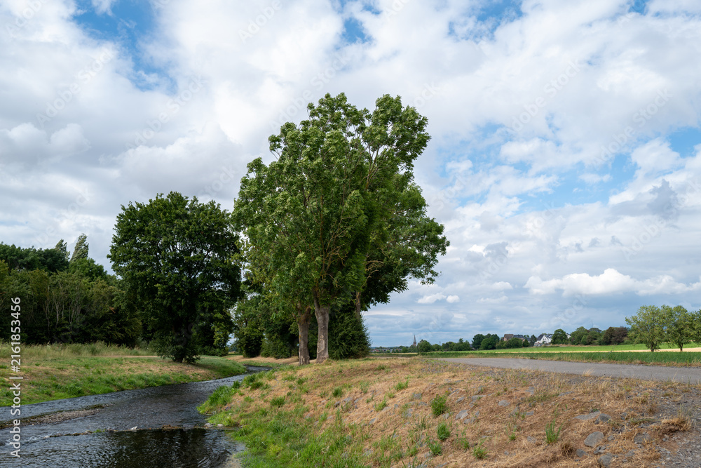 Fototapeta premium Peaceful countryside with tall trees, river, and cloudy sky