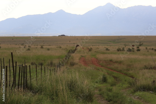 landscape in the morning