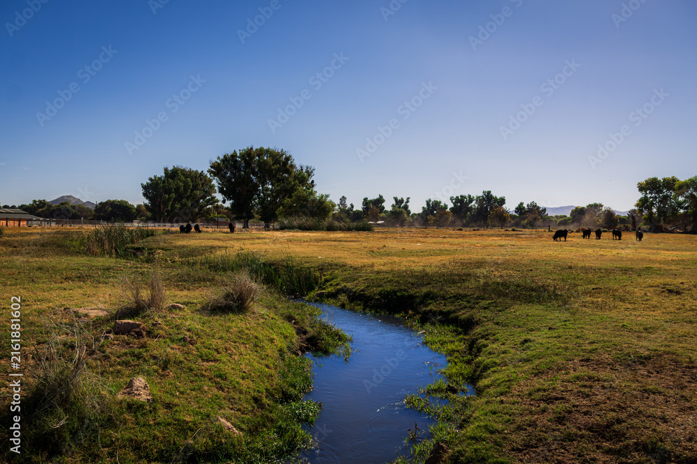 Fototapeta premium landscape with a river