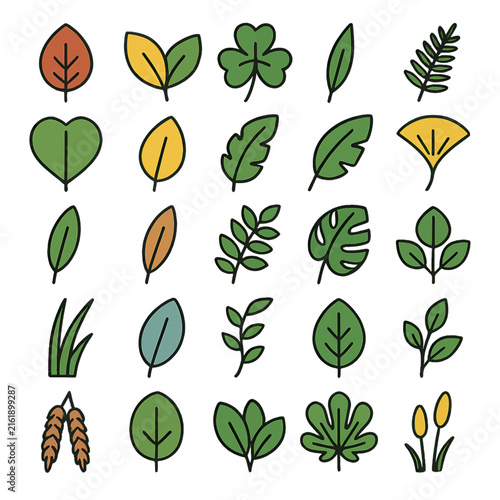 Colorful collection of various leaf illustrations in flat style