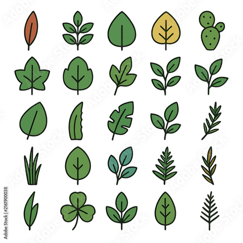 Collection of Cartoon Leaves and Plants with Various Shapes