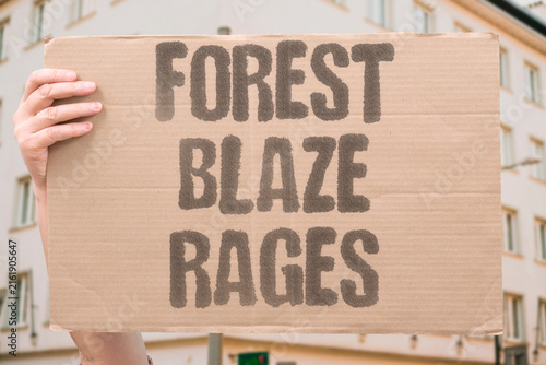 Canvas Print "forest blaze rages" Woodland fire units struggle against a fast-moving inferno near the mountain