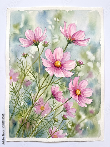Watercolor painting of pink cosmos flowers in a soft garden setting.