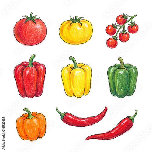 Vibrant hand-drawn illustration of fresh garden vegetables: bell peppers, tomatoes, chili peppers, and pumpkin.