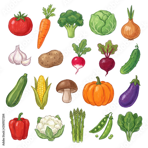 Assortment of fresh, colorful, hand-drawn organic vegetables for healthy eating and culinary designs on transparent.