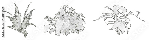 Set of Trees and Bushes in Elevation View for Architectural Drawings, Landscape Design Collection	