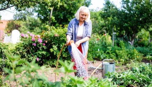 Senior Woman Gardening and Watering Plants with a Hose in a Sunny Garden