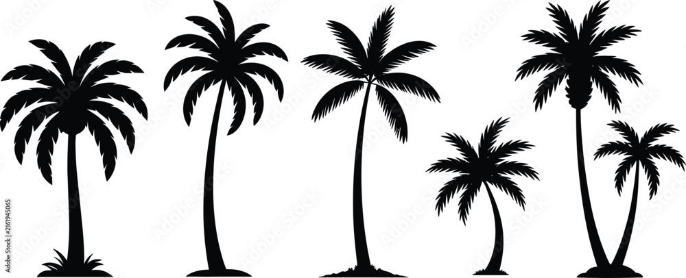 Fototapeta premium A collection of five black palm tree silhouettes in various sizes and shapes, isolated on a white background, for tropical themed, and nature projects