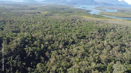 Drone view of coastal forest near Hinchinbrook Channel