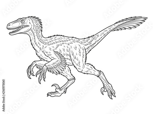 A detailed black and white line drawing depicts a Velociraptor in a dynamic running pose. The dinosaur has feathered arms and legs, sharp claws, and a menacing expression.