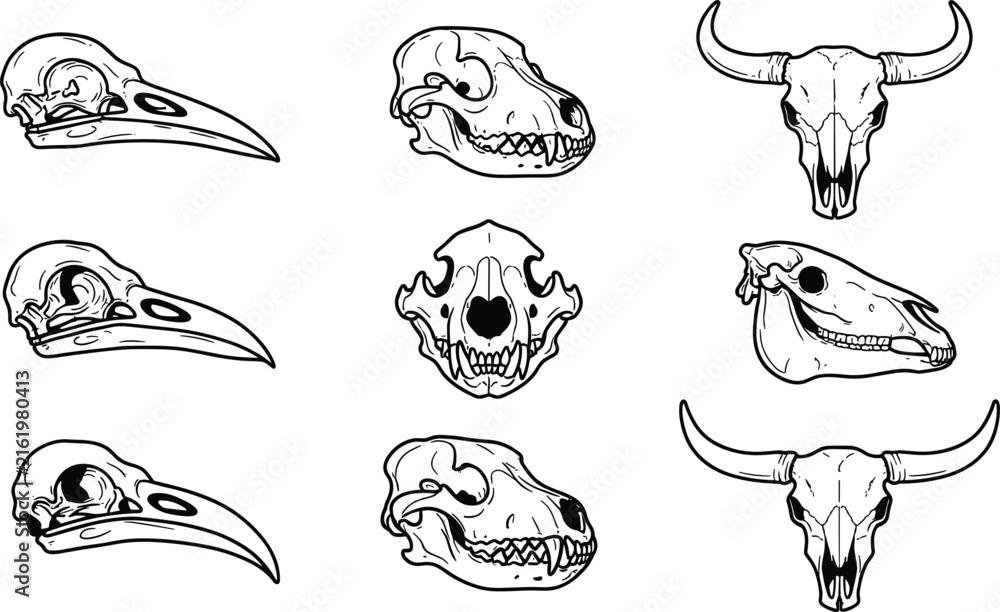 Naklejka premium Animal skull collection featuring bull crow wolf and horse skeletons for vintage gothic design elements