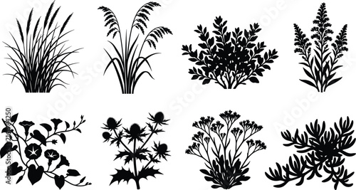 Wild Plant and Grass Silhouette Collection with Shrubs Herbs and Botanical Vector Set
