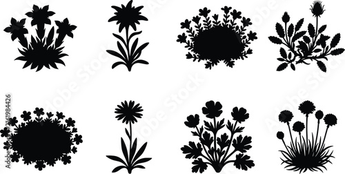 Wildflower and Garden Flower Silhouette Collection with Blooming Plants Botanical Vector Set