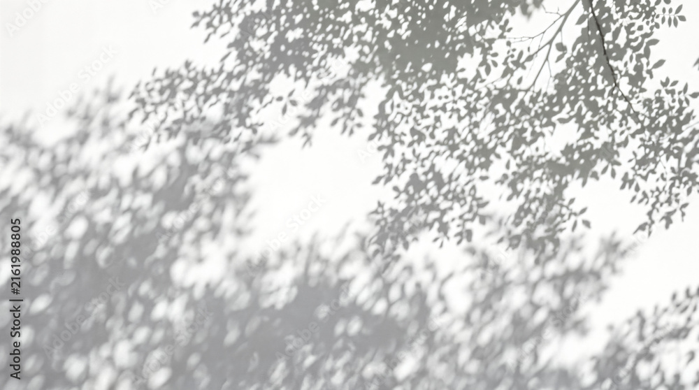 Fototapeta premium Natural tree leaf shadow on white wall, soft sunlight foliage overlay, aesthetic botanical background for product mockup