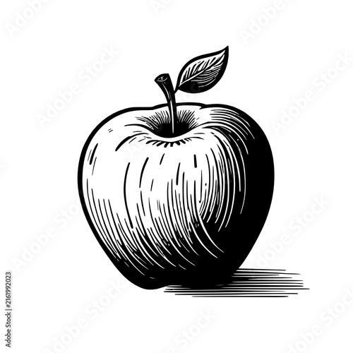 hand drawn apple isolated on white background