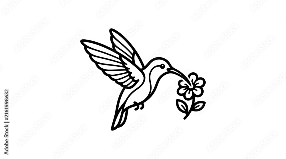 Obraz premium A black and white line art drawing of a hummingbird in flight, holding a delicate flower in its beak, against a plain white background.