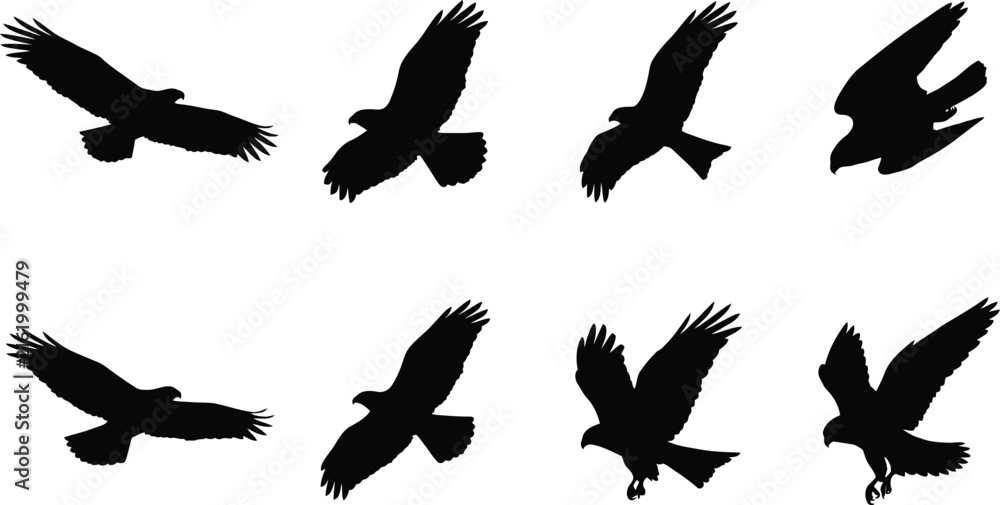 Naklejka premium Bird Silhouettes in Flight Depicting Raptors and Large Birds of Prey for Wildlife Illustration and Nature Design Projects