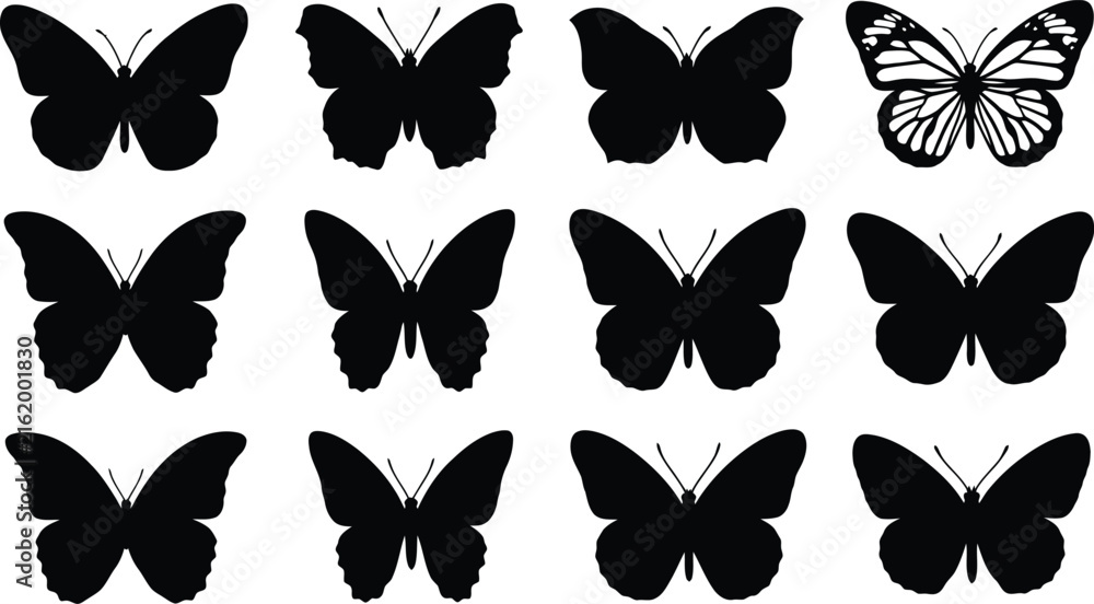 Obraz premium Collection of butterfly silhouette icons with diverse wing shapes for nature, design, and decorative vector use